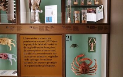 Voyage à Nantes et Museum d’Histoire Naturelle pour les 6B et les 6F
